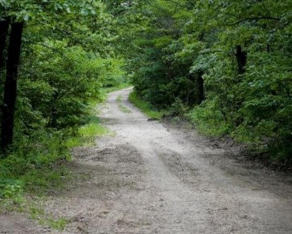 Other clues helped the police narrow down the time the Girl Scout crimes took place