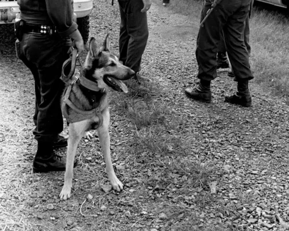 Someone warned counselors about their plans two months before the crime, but it was ruled a joke